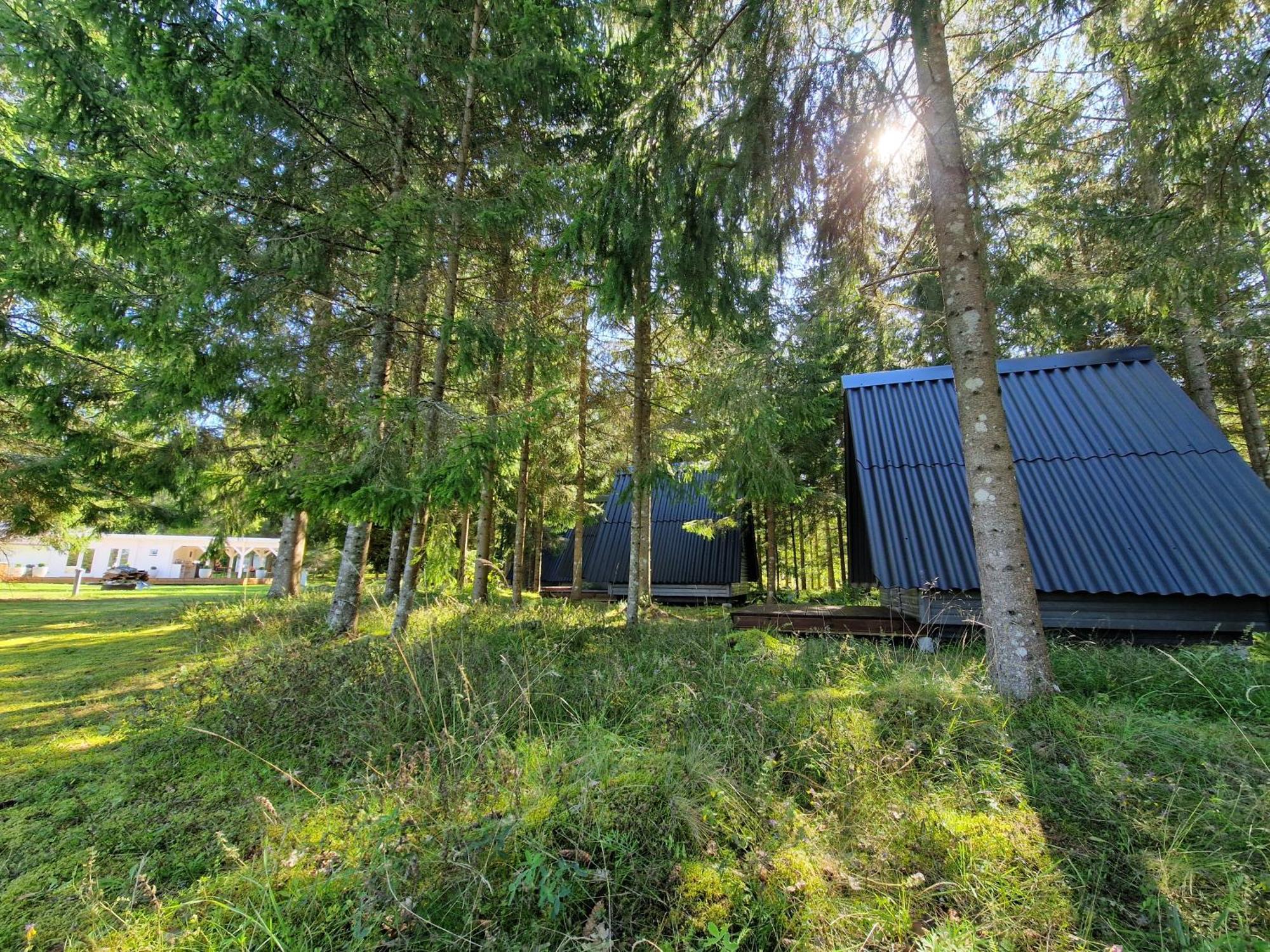 Hotel Liivakortsi Kaemping Romeda Zewnętrze zdjęcie